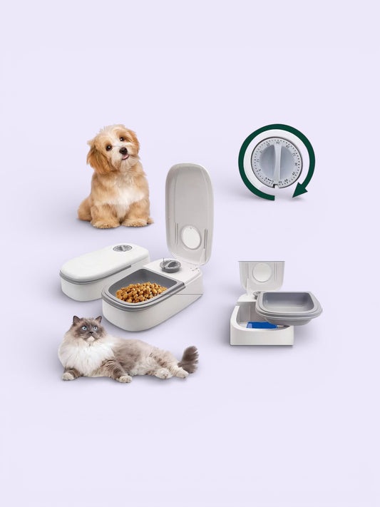 Comedor Para Mascotas Con Temporizador